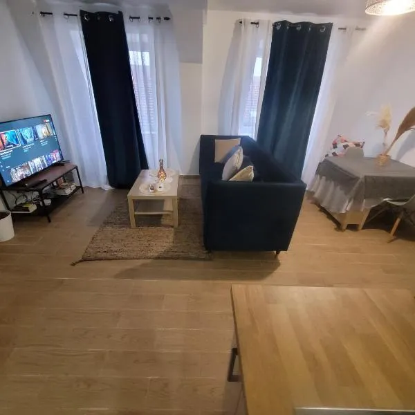 Coquet appartement à 15mn de Paris et 10 mn de Stade de France, wifi, Netflix,, hotel in Groslay