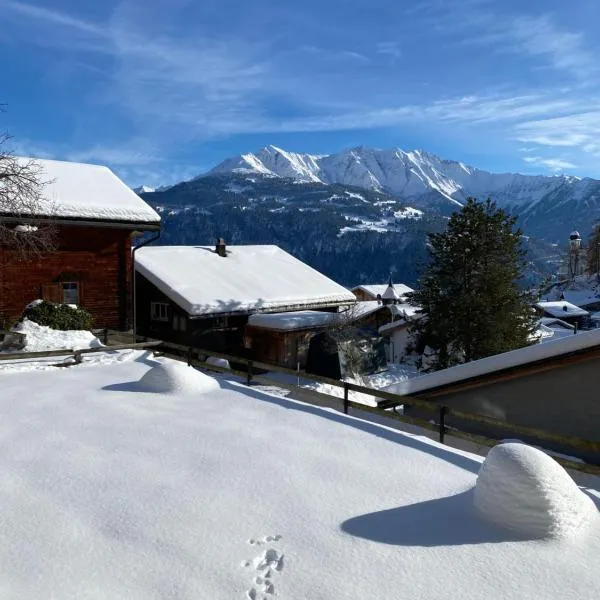 Casa Plaun Martin, hotel a Ruschein
