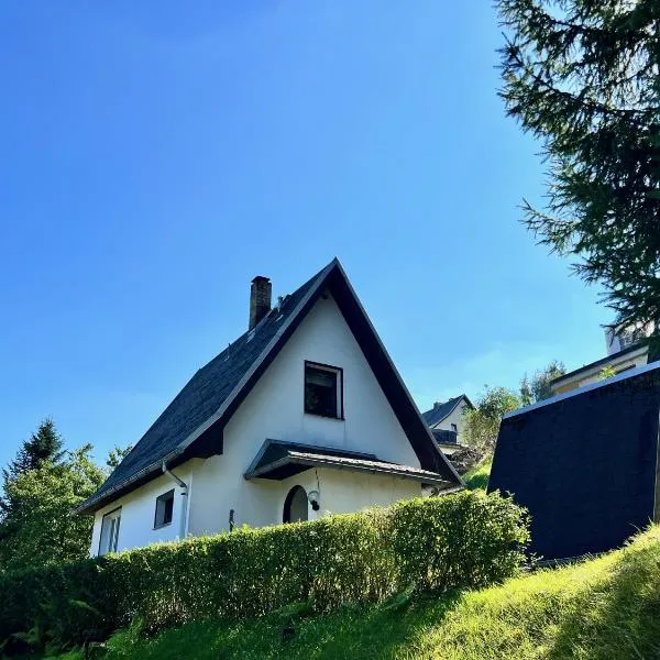 Urige Berghütte mit Kamin in Pobershau im Erzgebirge nahe Schwarzwassertal, hotel in Pobershau