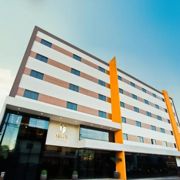 Megal Suites Hotel, hotel in Ciudad del Este