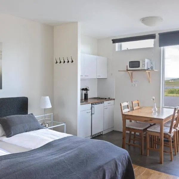 South Central Apartments, hotel en Hraunvellir