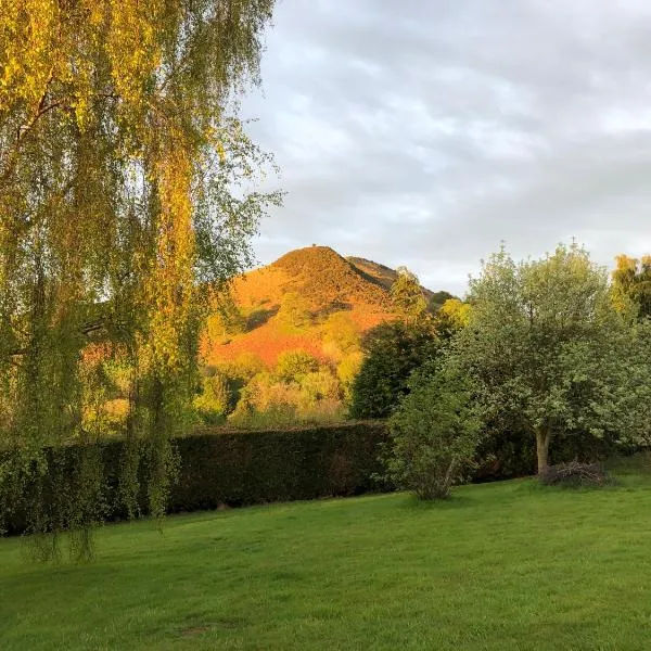 Offa's Dyke Lodge B&B, hotel a Llanfihangel-nant-Melan