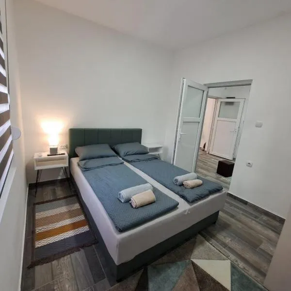 Apartman Arsić Zajecar、ザイェチャルのホテル