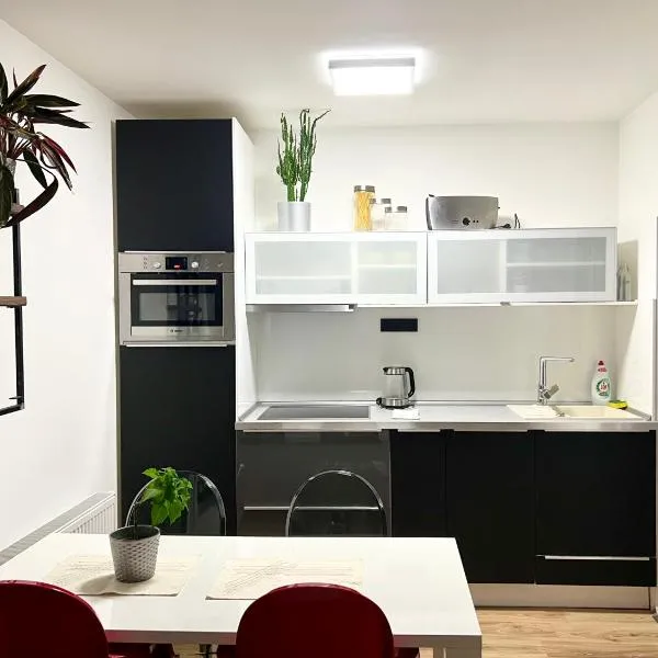Apartment Brno- BBQ terrace, hotel in Husovice