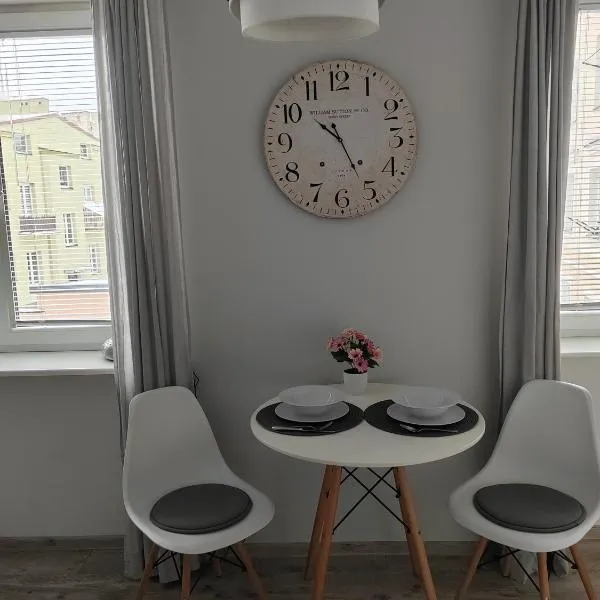 Apartament Paderewskiego、キェルツェのホテル