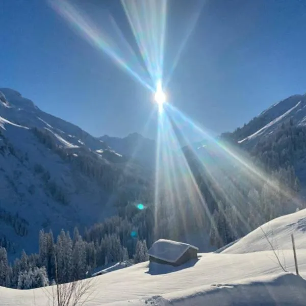 Älpler Stuba Appartements am Lärchenhof, hotel en Warth am Arlberg