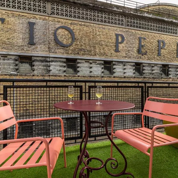 El Balcón de la Bodega - Luxurious apartment in Jerez with gym، فندق في خيريز دي لا فرونتيرا