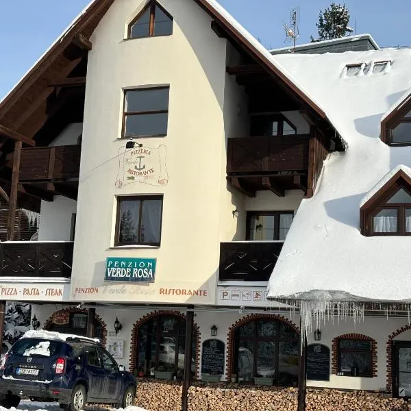 Penzion Verde Rosa, hotel in Harrachov