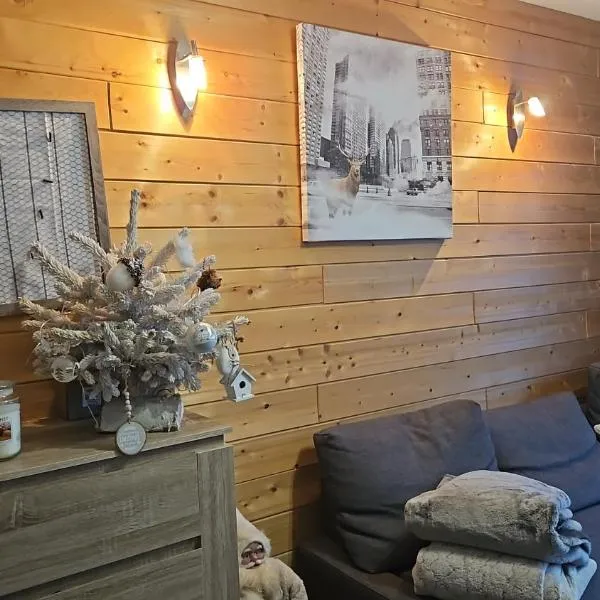 Appartement front de piste Puy-saint-Vincent, hotel in Puy-Saint-Vincent