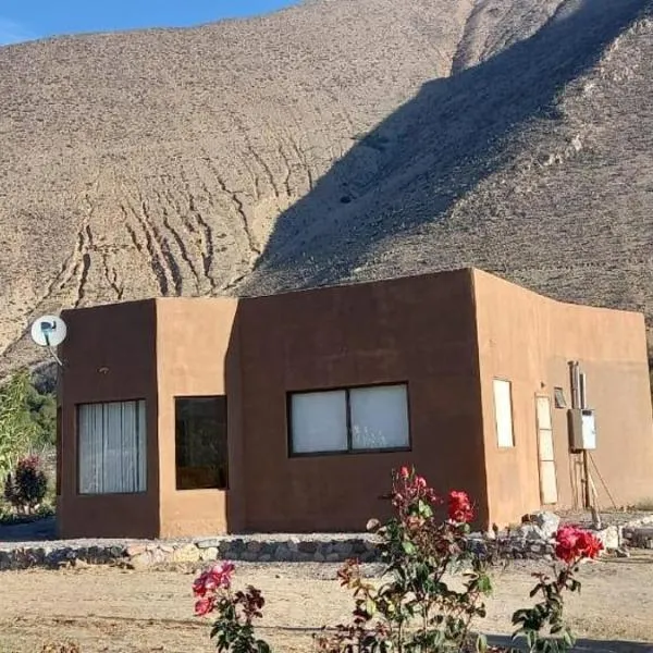 VALLE DEL ELQUI,Diaguitas, Vicuña, hotel a Diaguita
