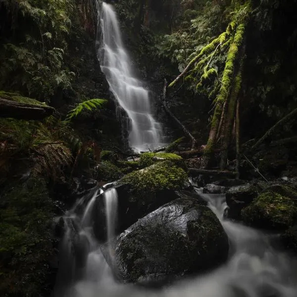 The Source, Otways, hotel in Forrest