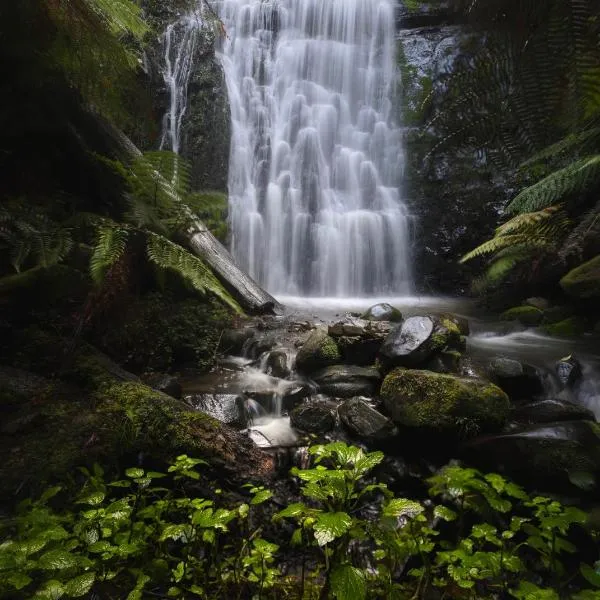The Source, Otways, hotel em Tanybryn