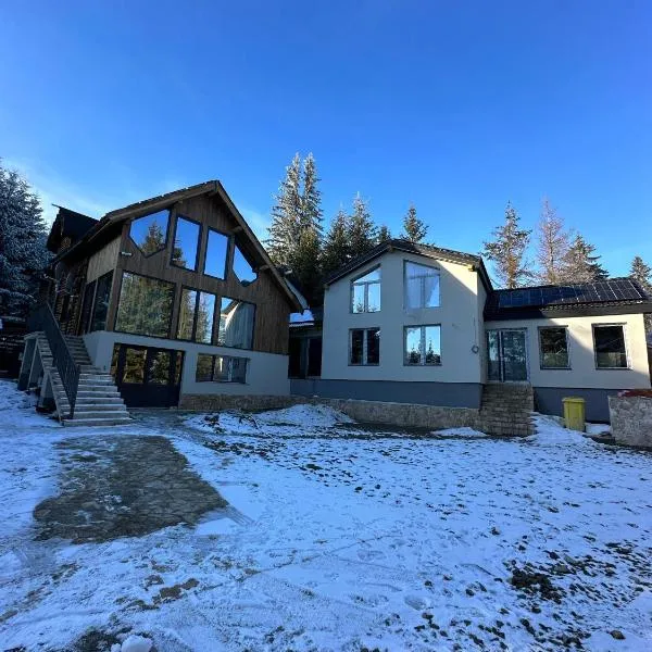 Black Wolf PĂLTINIȘ, hotel in Păltiniş