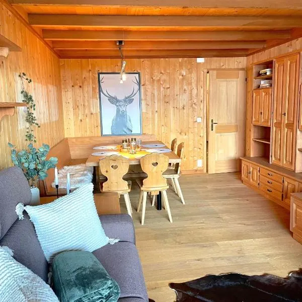 Cozy apartment in St. Moritz, hotel v destinaci St. Moritz