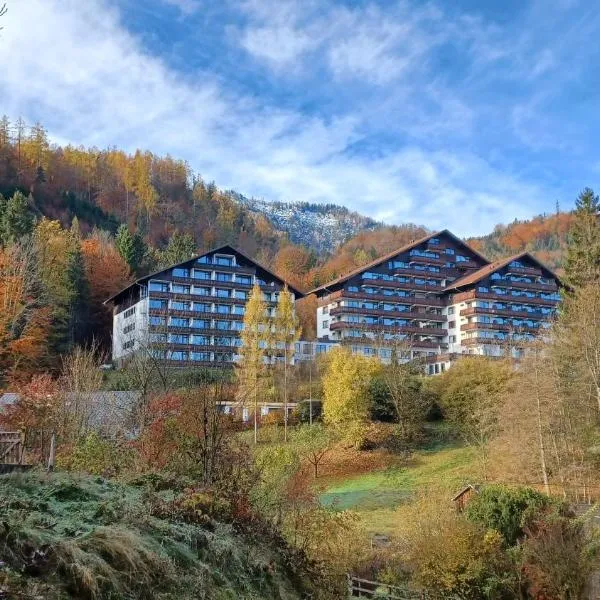 dachstein view, hotel in Bad Goisern