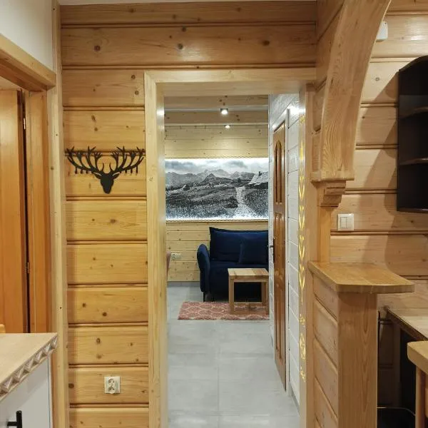 Pokoje Gościnne Migiel, hotel in Zakopane
