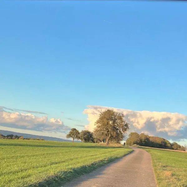 Landhaus Ana-Vital, hotell i Merzig