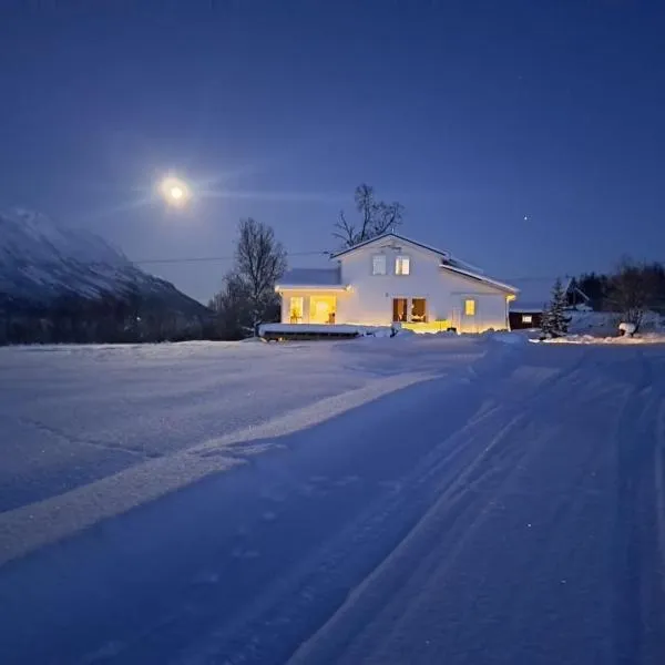 Mountainside Lodge - Breivikeidet, hotell i Sjursnes