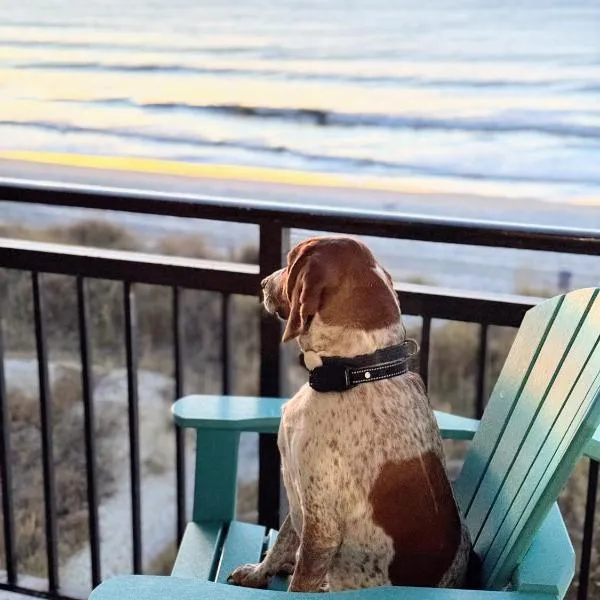 Oceanfront 3br/2ba Dog Friendly, hotel v destinaci Myrtle Beach
