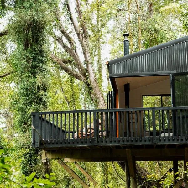 Te Aka Treehouse, hotel v destinaci Nelson Creek