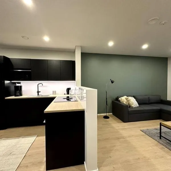 Kotimaailma Apartments #6 - Hieno ja tilava kaksio keskustassa, hotel in Seinäjoki