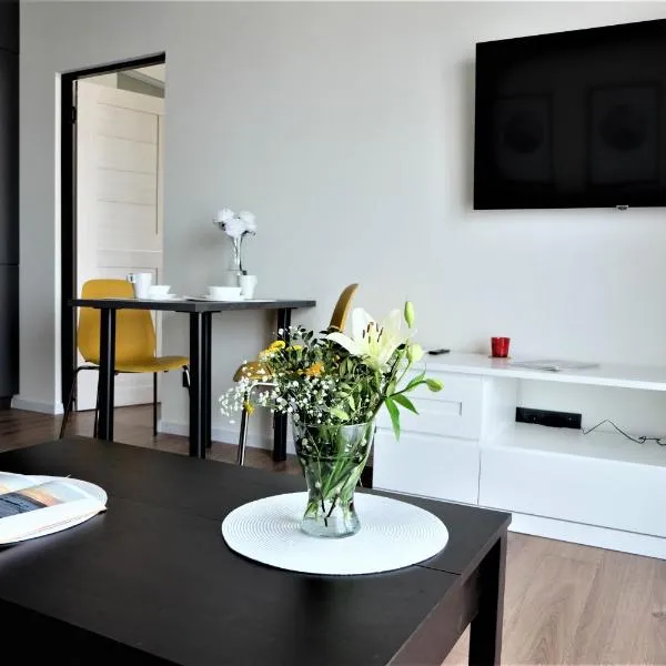 Modernus KOKO butas 1-ame aukšte, hotel in Kaunas