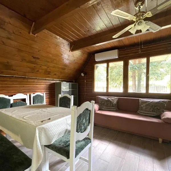 Nyírfa vendégház, hotel v destinácii Fadd-Dombori