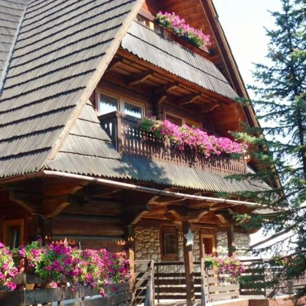 Bukovina Concept obok stoku i basenów termalnych, hotel in Bukowina Tatrzańska