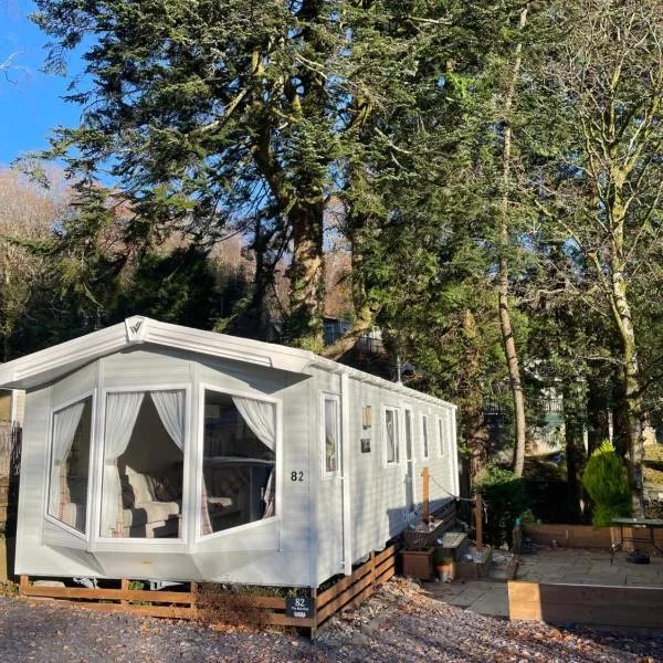 The Beeches Holiday Home- based at Aberdunant Hall Holiday Park, hotel v destinaci Prenteg