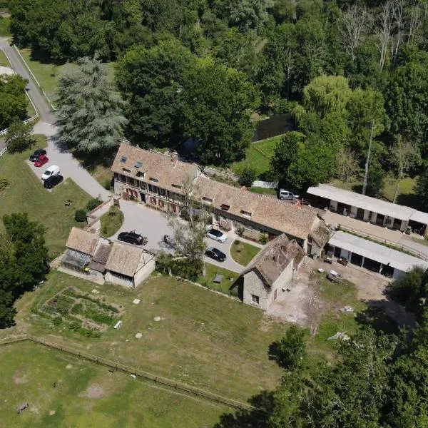 Le Moulin de l'étang, Hotel in Villiers-en-Désoeuvre