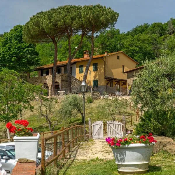 Podere Figlinelle, hotel in Starda