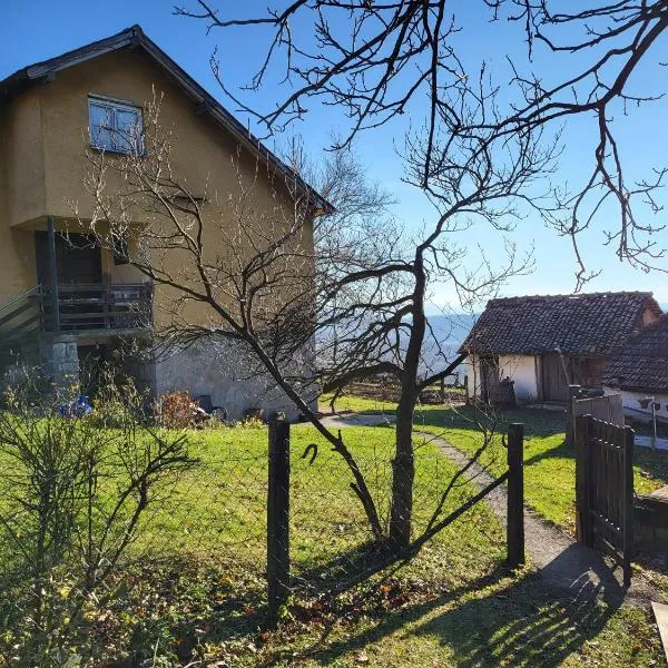 루드니크에 위치한 호텔 Apartman Mica i Živo