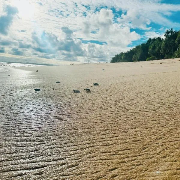 Shine Wave Turtle Beach, hotell Tangalles