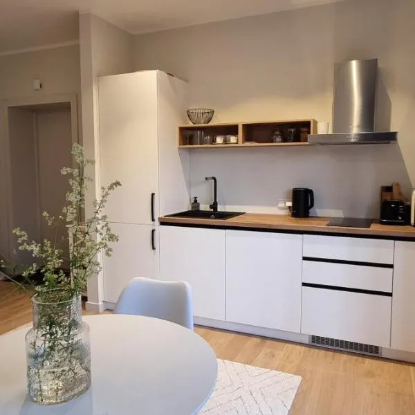 Albatross Green Apartment, hotel v destinaci Ķesterciems