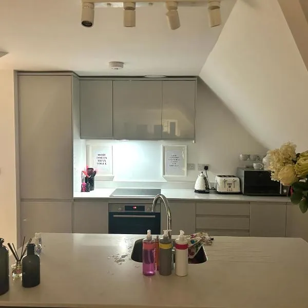 The Penthouse Double Bedroom for Rent Use of kitchen Parking on request, hotel v destinaci Epsom