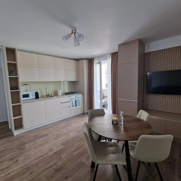 Blue apartment nearby Amethyst & Vivo Mall, отель во Флорешты