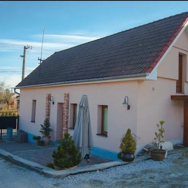 Ubytovanie Nitrianske Pravno โรงแรมในปริเอวิดซา