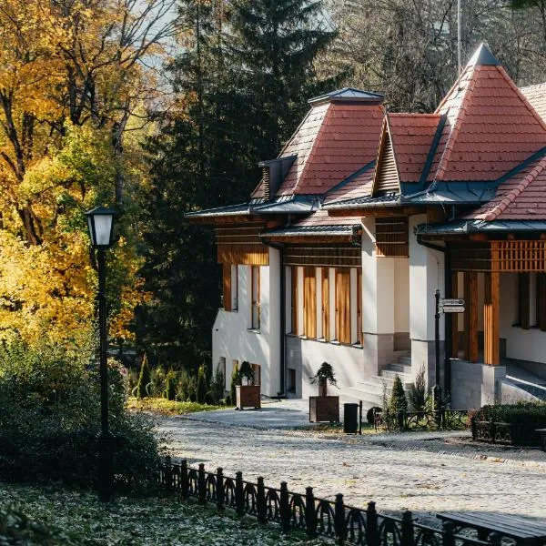 Villa Bellini Borszék, hotell i Borsec