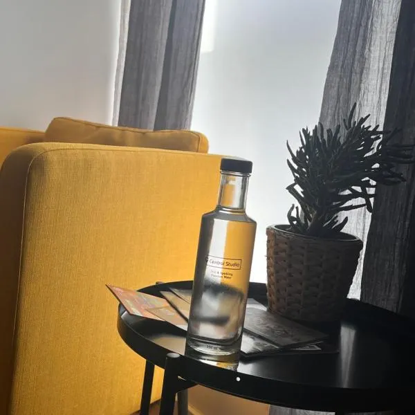 Central Studio, hotel v destinaci Pécs