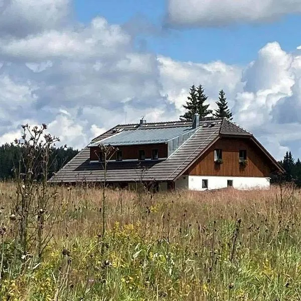 Apartmány v Chalupě nad Modravou, hotel v Modravě