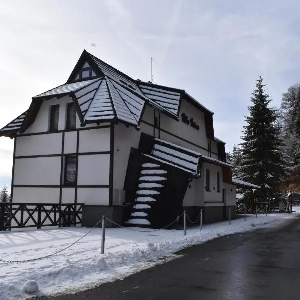 Vila Irina Kopaonik, hotel in Kopaonik