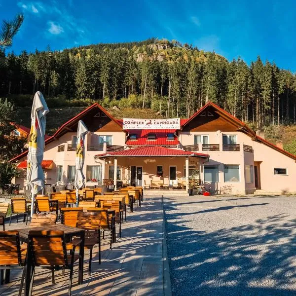 Complex Caprioara Toplita, hotel sa Stînceni