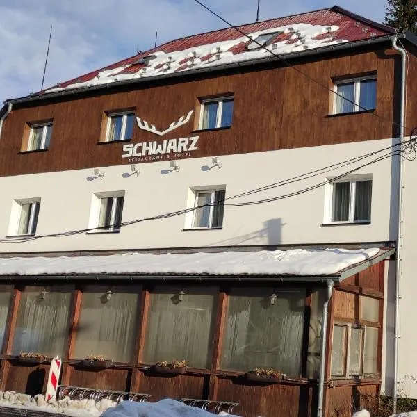 Hotel Schwarz, hotelli kohteessa Horní Blatná