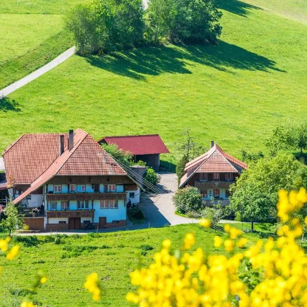 Prinzbachhof, hotel v destinaci Mühlenbach