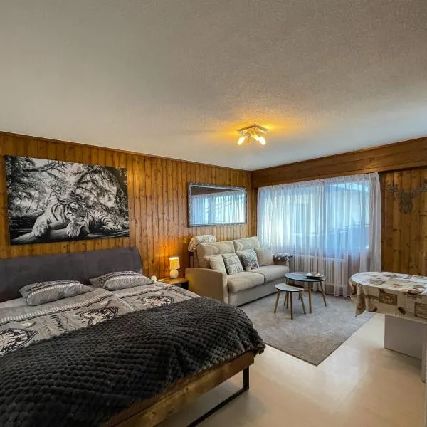 Jolie appart cozy, Ski in Ski out, ξενοδοχείο σε Veysonnaz