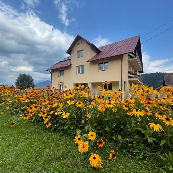 Pensiunea Genţiana, hotel v destinaci Dealu Floreni