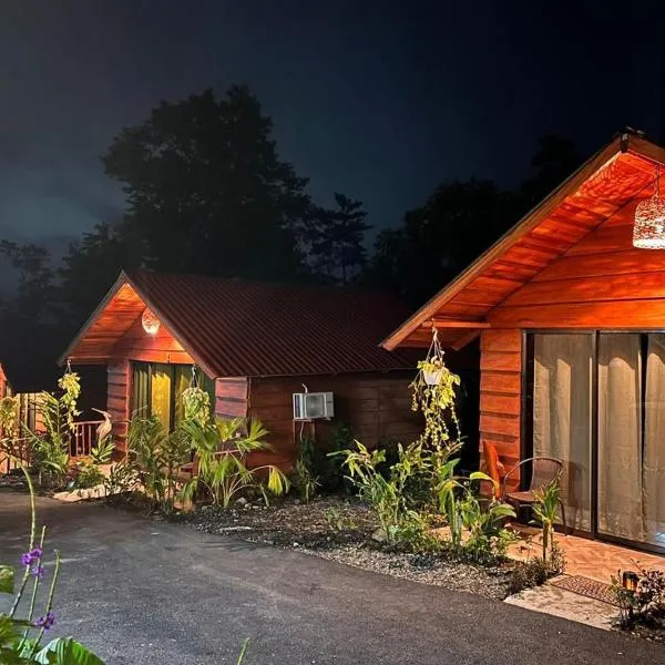 Cabañas SyC, hotel in Fortuna