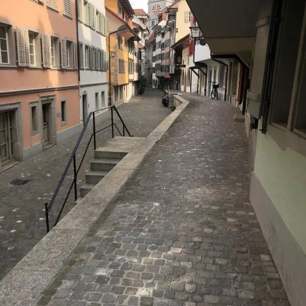 Bedroom cum office with shared shower in Zug's Old Town, hotel v destinaci Zug