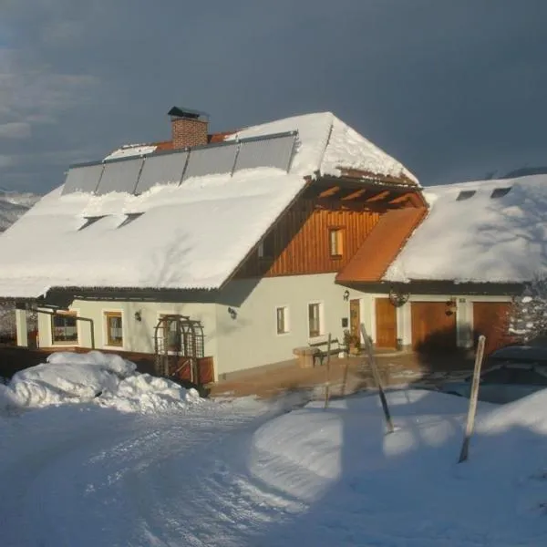 Haus Schober, hotel in Windischgarsten