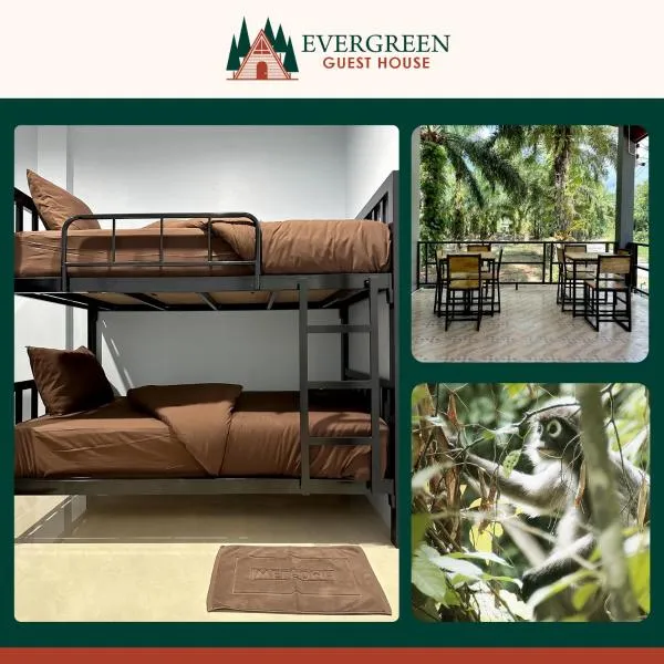 Evergreen Guest House, hotel v destinaci Khao Sok